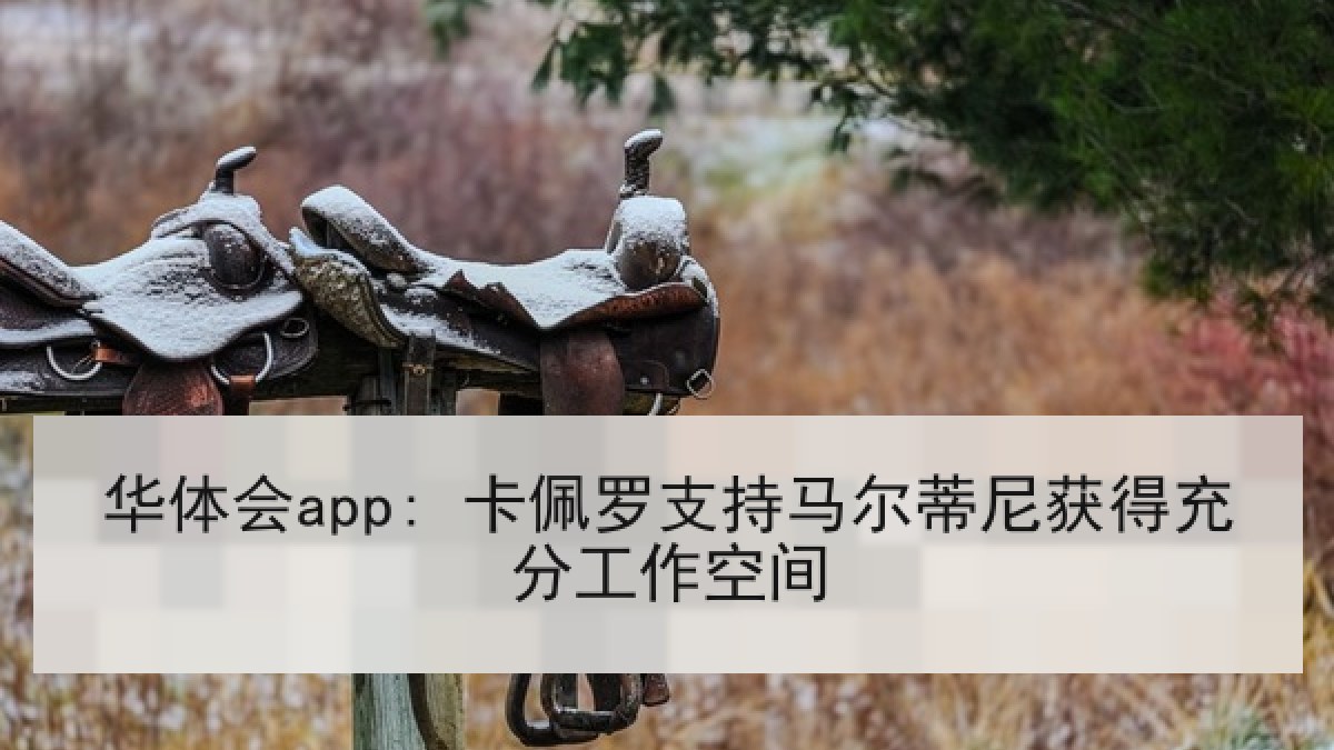 华体会app: 卡佩罗支持马尔蒂尼获得充分工作空间 华体会app: 卡佩罗支持马尔蒂尼获得充分工作空间