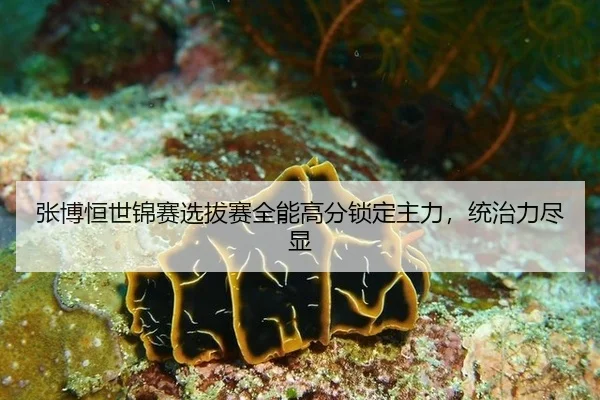 张博恒世锦赛选拔赛全能高分锁定主力，统治力尽显