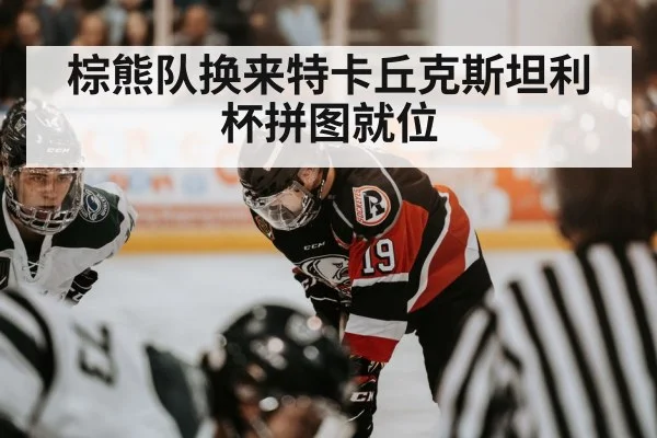 棕熊队换来特卡丘克斯坦利杯拼图就位